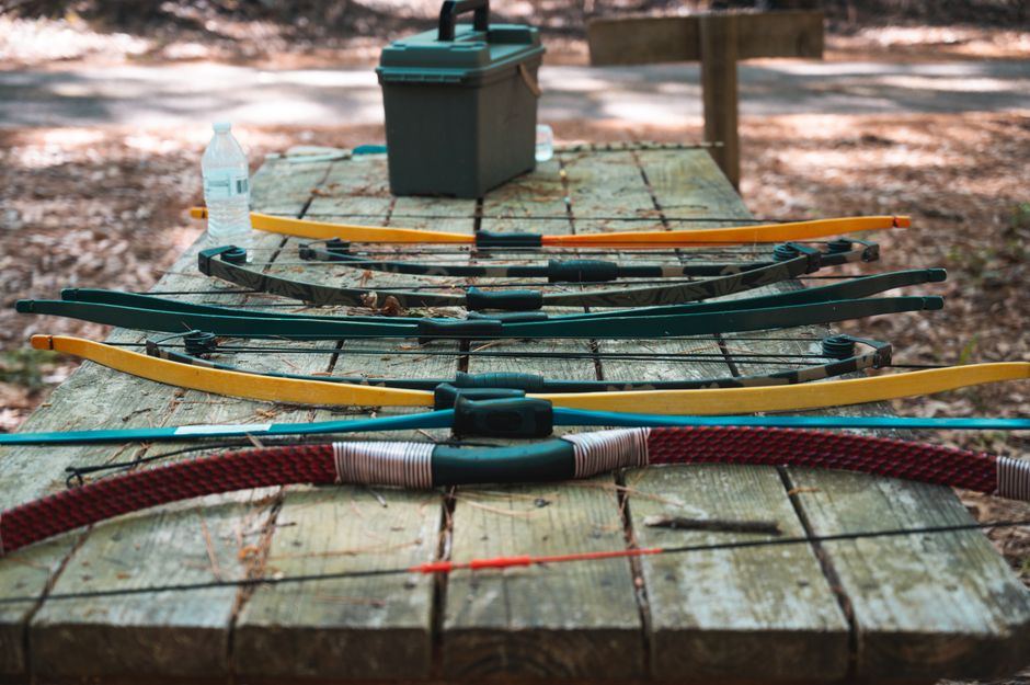 compound vs. recurve bow buying guide